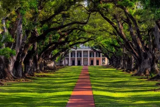 New Orleans Plantation and Kayak Swamp Tour