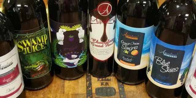 Clearwater Wine Tasting and Tour at Aspirations Winery - Image 2