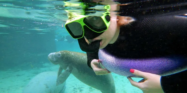 Crystal River Manatee Snorkel Tour - Image 2