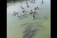 New Smyrna Dolphin and Manatee Kayak Adventure thumbnail 2