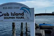 Destin Crab Island Dolphin Tour thumbnail 5
