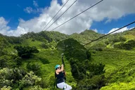 Koloa Zipline Tour with Sip Experience thumbnail 2