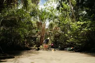Chassahowitzka River Clear Kayak Tour thumbnail 5