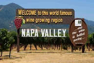 San Francisco Napa Valley Wine Tour 6 hr thumbnail 1