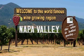 San Francisco Napa Valley Wine Tour 6 hr