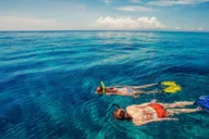 Hilo Tropical Reef Snorkel Adventure thumbnail 1