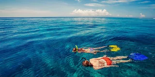Hilo Tropical Reef Snorkel Adventure