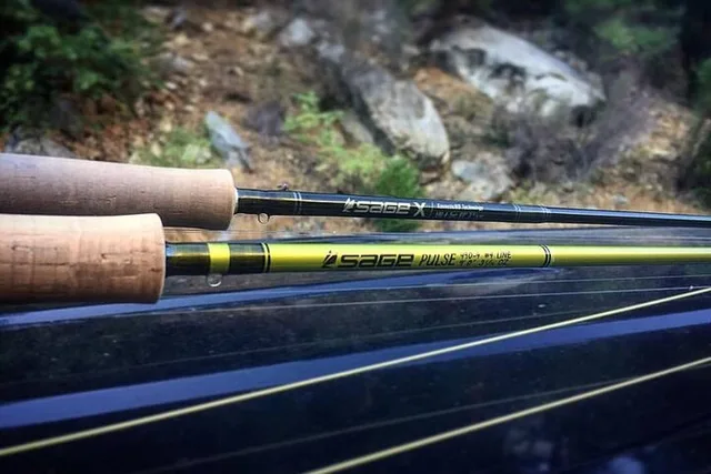 Yosemite Fly Fishing Tour for Anglers - Image 4