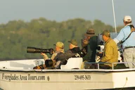 Everglades Photo and Birding Boat Safari thumbnail 1