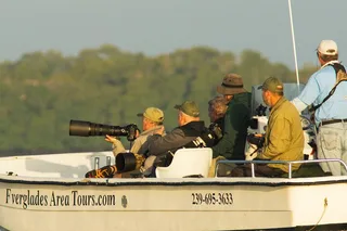 Everglades Photo and Birding Boat Safari