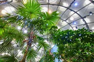 San Francisco California Academy of Sciences Tour thumbnail 4