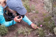 Yellowstone Slough Creek Naturalist Hike thumbnail 4