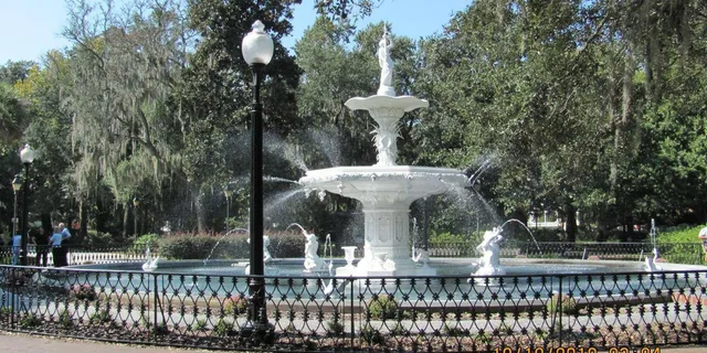 Savannah Civil War Walking Tour - Image 3