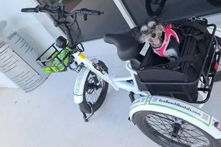 Ponte Vedra Beach Bike Tour