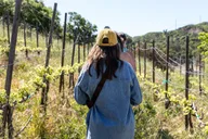 Malibu Vineyard Hike with Wine and Photo Stops thumbnail 1