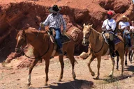 Las Vegas Horseback Riding Tour thumbnail 1