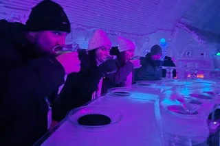 Fairbanks Chena Hot Springs and Ice Museum Tour