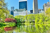New York Central Park Pedicab Ride 60 min thumbnail 6