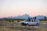 Jackson Wildlife Adventure in Grand Teton 4 hr thumbnail 3