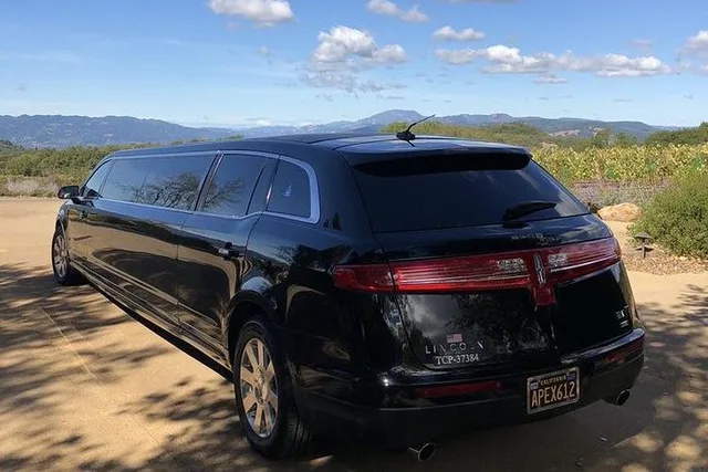 San Francisco Private Limo Wine Tour to Napa - Image 6