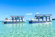 Destin Pontoon Boat Tour thumbnail 4