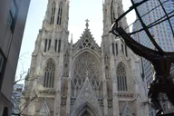New York City Guided Bus and Walking Tour with Staten Island Ferry thumbnail 3