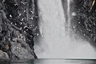 Anchorage Glacier Cruise Self-Drive 5 hr thumbnail 6