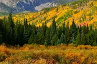 Estes Park Rocky Mountain National Park Tour thumbnail 3