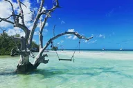 Key West Sandbar Charter & Island Escape thumbnail 3