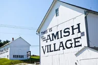 Washington D.C. Amish Farm and House Tour 8 hr thumbnail 3
