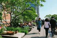 New York City High Line and Hudson Yards Tour with Edge Entry thumbnail 4