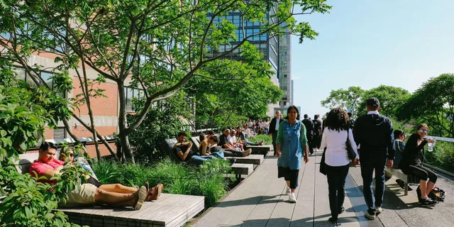 New York City High Line and Hudson Yards Tour with Edge Entry - Image 4