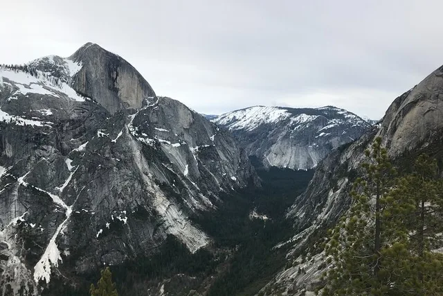 Yosemite Giant Sequoia Grove Hike or Snowshoe - Image 3