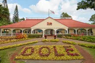 Oahu Haleiwa & Dole Plantation Tour thumbnail 5