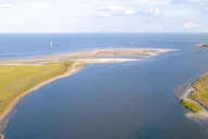 Charleston Sandbars & Swimming BYOB Tour thumbnail 6