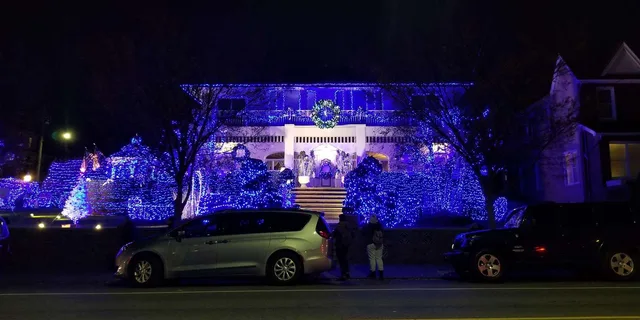 Brooklyn Christmas Lights Tour Dyker Heights 4 hr - Image 6