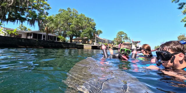 Crystal River Manatee Snorkeling Tour - Image 1