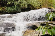 Great Smoky Mountains Hiking Tour thumbnail 3