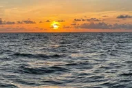 Tampa Bay Sunset Cruise with Celebrity Homes thumbnail 1