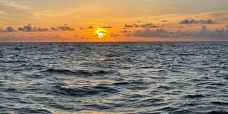 Tampa Bay Sunset Cruise with Celebrity Homes