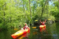 Amelia Island Kayak Rental Experience thumbnail 1