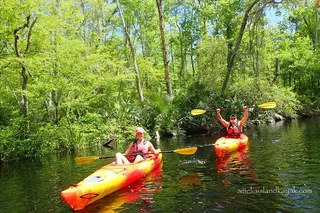 Amelia Island Kayak Rental Experience