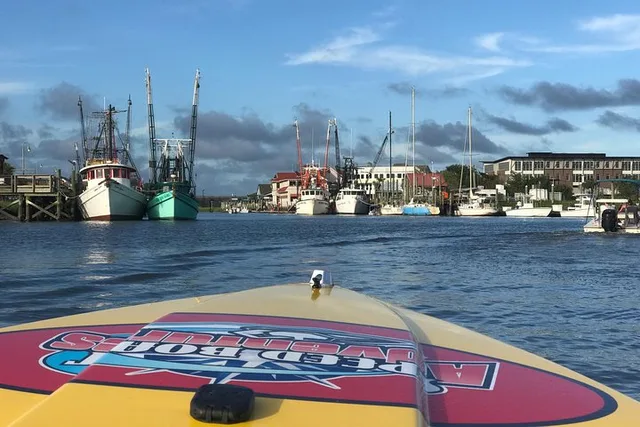 Charleston Harbor Speed Boat Adventure - Image 6