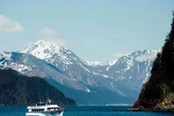 Seward Kenai Fjords Glacier & Wildlife Cruise 6 hr thumbnail 3