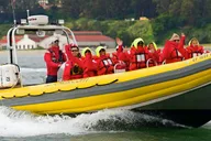 San Francisco Bay Adventure Cruise thumbnail 1