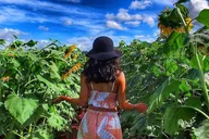 Oahu Island Jeep Tour thumbnail 3
