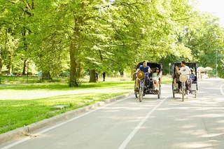 New York Central Park Pedicab Tour
