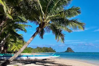 Oahu Circle Island Tour Customizable 8 Hr