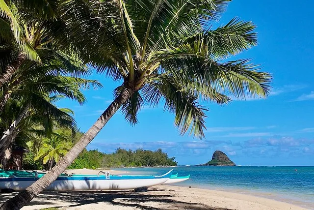 Oahu Circle Island Tour Customizable 8 Hr - Image 1