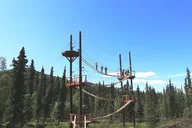 Denali Zipline and Brewpub Visit Half-Day Adventure thumbnail 1